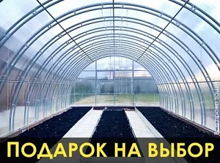 Теплица «СЕВЕРНАЯ» 5м
